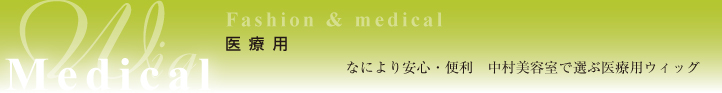 ウィッグタイトル―医療